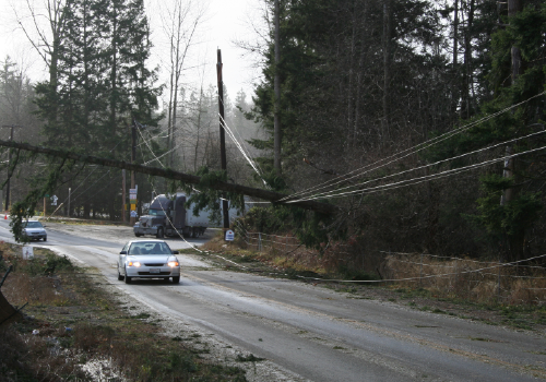 downed line over car