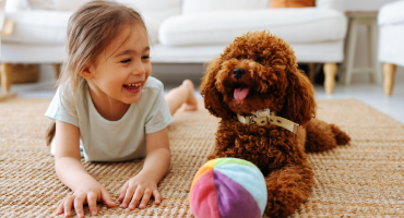 Kid and dog playing