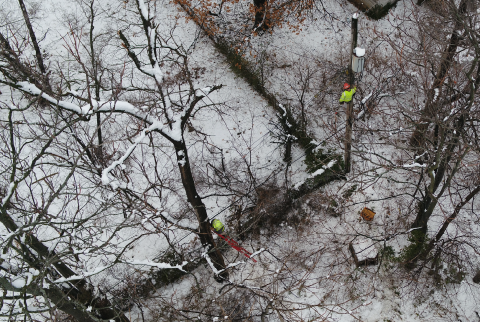 Winter and the trees outside